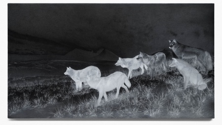 Führung durch die Ausstellung "Jelena Bulajić: Untitled (after)"