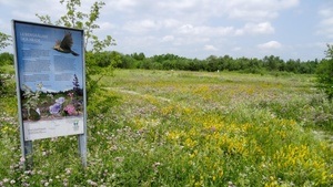Heide-Aktionstag - Zu Gast im Wohnzimmer der Natur