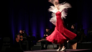 FLAMENCO NIGHT