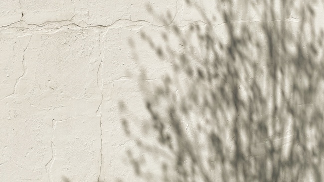 Ausstellungseröffnung "30 Jahre Black History Month in Hamburg"