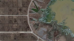 Vortrag von Raj Patel “THE ARCHITECTURE OF TASTE”