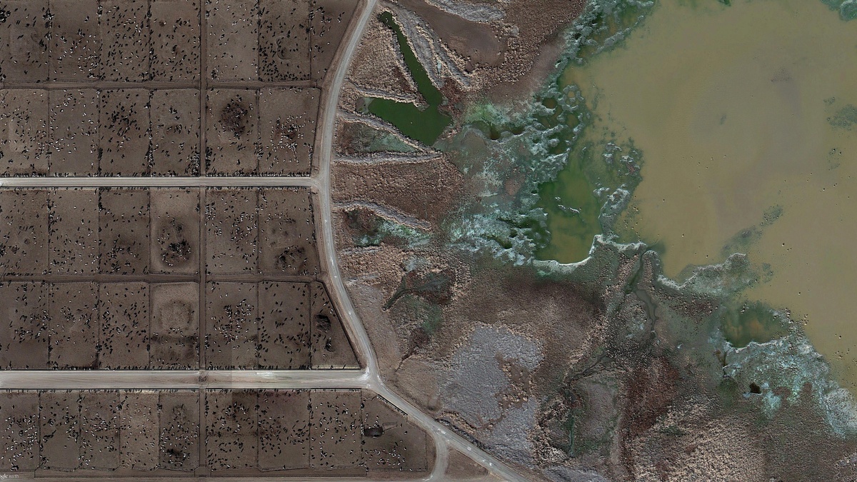 Vortrag von Raj Patel “THE ARCHITECTURE OF TASTE”