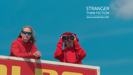 Kurzfilmprogramm NRW | Stranger Than Fiction | mit Filmgespräch