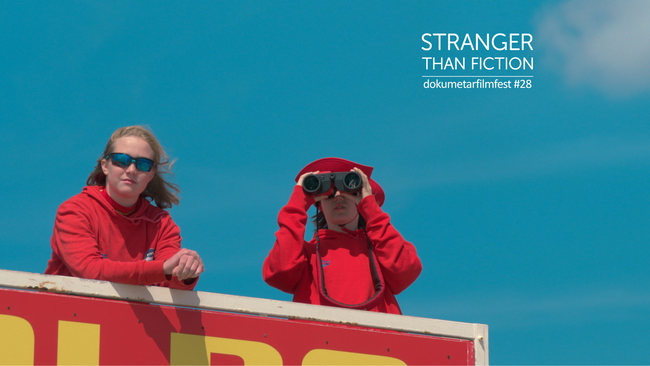 Kurzfilmprogramm NRW | Stranger Than Fiction | mit Filmgespräch