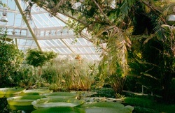 Botanischer Garten