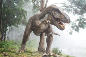 Dinosaurier - Die Geschichte des Überlebens I Ab 7 Jahren