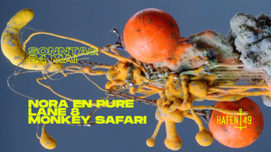 NORA EN PURE, LANE 8, MONKEY SAFARI