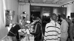 foma studios