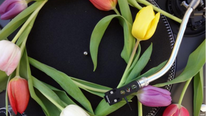 Tanz in den Mai - Die Kult-Party mit Charts und Dance Classics