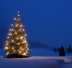 Weihnachtskonzert des Gerda-Taro Gymnasiums