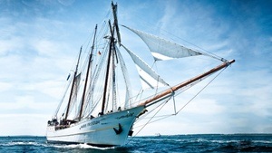 Brunch unter Segeln auf der Elbe