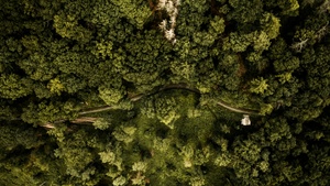 Schnitzen im Wald für Kinder und Eltern