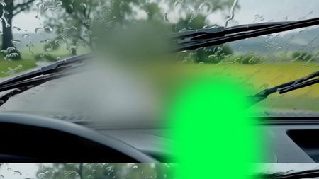 fi x NUOBN x Feines Tier