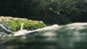 Mensch-Wasser-Interaktion