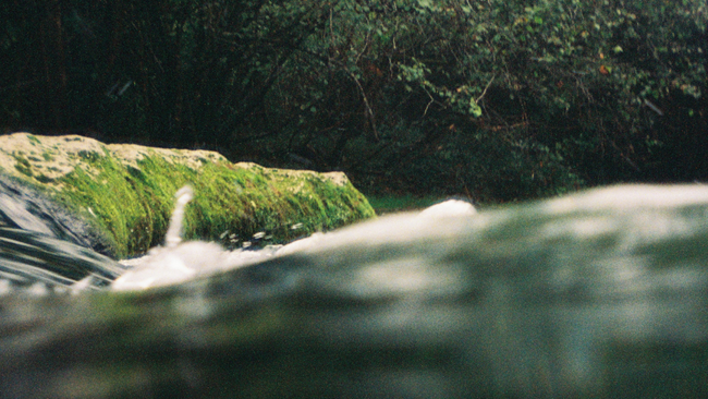 Mensch-Wasser-Interaktion