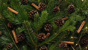 Winterzauber am Viktualienmarkt