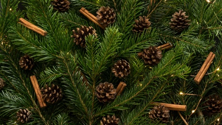 Winterzauber am Viktualienmarkt