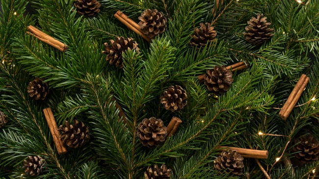 Winterzauber am Viktualienmarkt