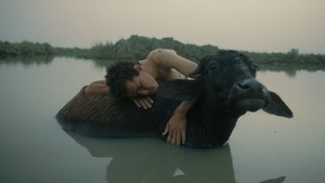INTERFILM 41: Essay Films - Craving for Narratives