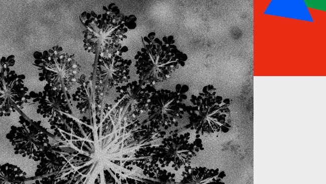 fi x Rosenmontag Ben Klock & Brutalism & Hyperlove