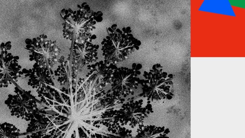 fi x Rosenmontag Ben Klock & Brutalism & Hyperlove