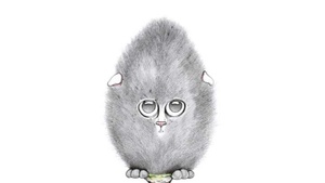 Heidewitzka! Zeichnen zwischen Flora, Fauna und Fantasie  - Zweiteiliges Cartoon-Seminar mit Julian Opitz