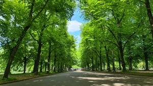 Frühjahrsputz der Stadt Leipzig