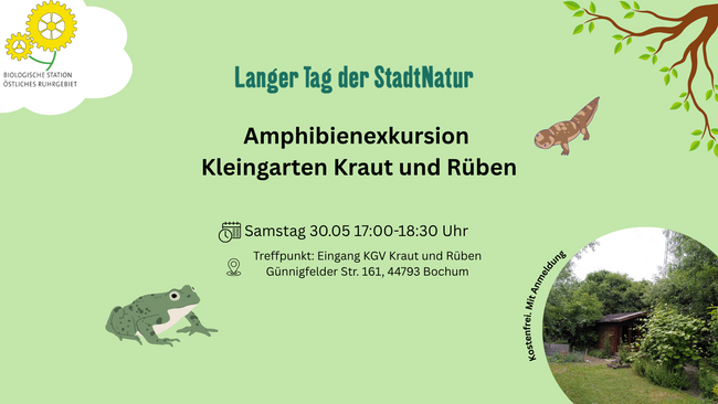 Amphibienexkursion in ökologischen Kleingärten