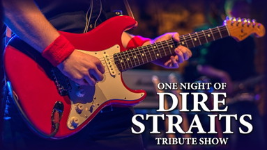 One Night of dire Straits - Tribute Show