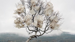 Riitta Päiväläinen | Phantasma