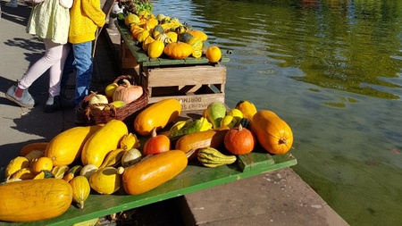 Herbstmarkt