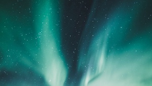Polaris – das Rätsel der Polarnacht