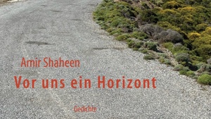 NIMM PLATZ - KÖLNER LITERATURSOMMER MIT AMIR SHAHEEN