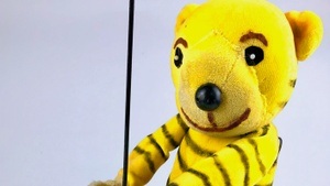 Der kleine Tiger braucht ein Fahrrad (3+)