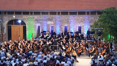 Flora Sinfonie Orchester – Konzert unter freiem Himmel