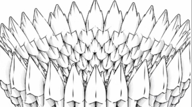3D - Papier Schale