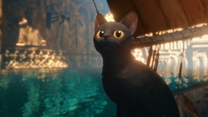 Kamp-Flimmern: Flow (Open-Air Kino)