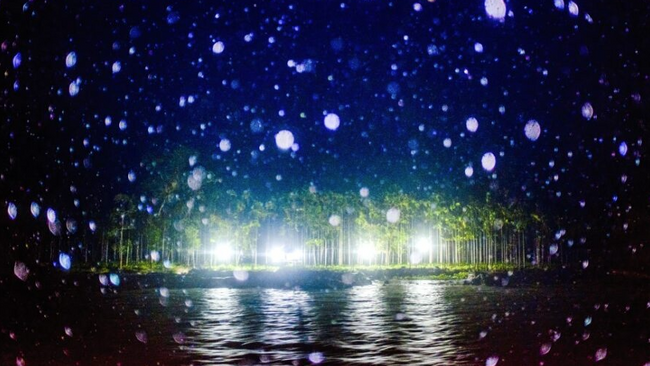 Arko Datto: Where do we go when the final wave hits.