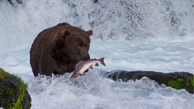 Kanada und Alaska Zauber der Wildnis