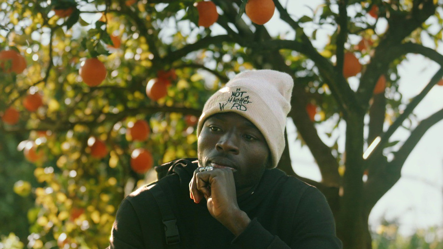 Film- und Infoabend: The Pickers