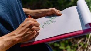 Schere, Stift, Papier