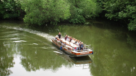 Auwaldtour Sommer: Auf dem Motorboot durch die sattgrüne Auwaldlandschaft - mit Biologen