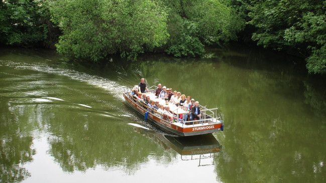 Auwaldtour Sommer: Auf dem Motorboot durch die sattgrüne Auwaldlandschaft - mit Biologen