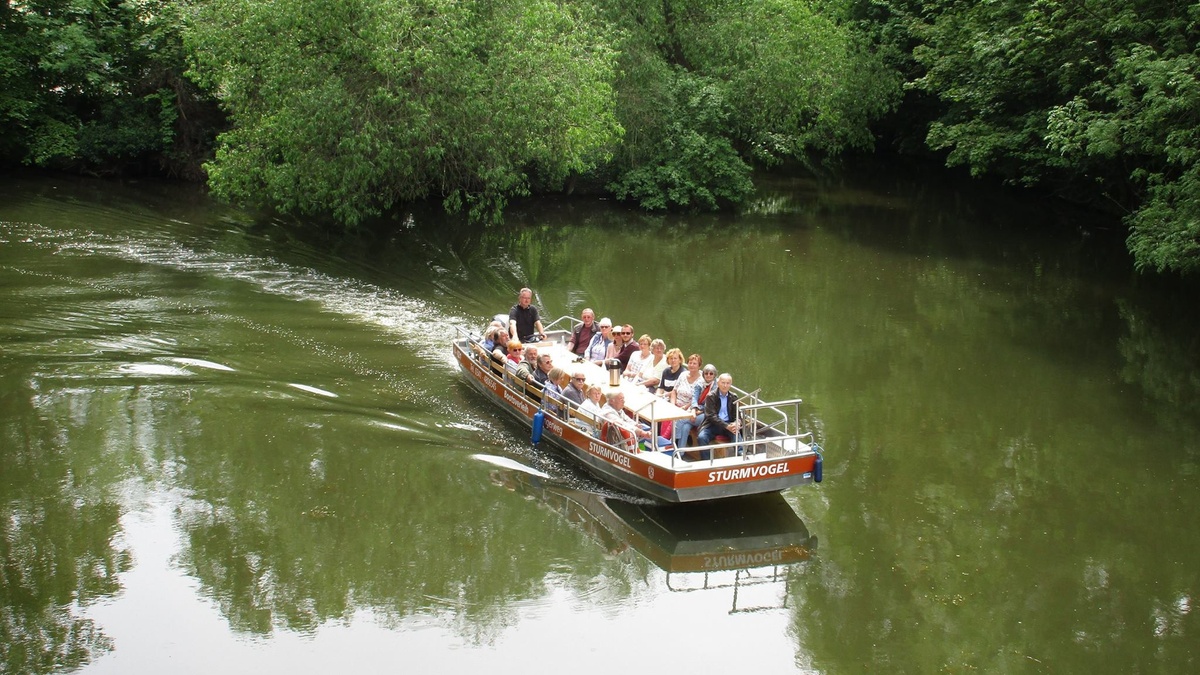 Auwaldtour Sommer: Auf dem Motorboot durch die sattgrüne Auwaldlandschaft - mit Biologen
