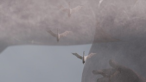 Eröffnung zur Ausstellung "Fragile Landschaften"