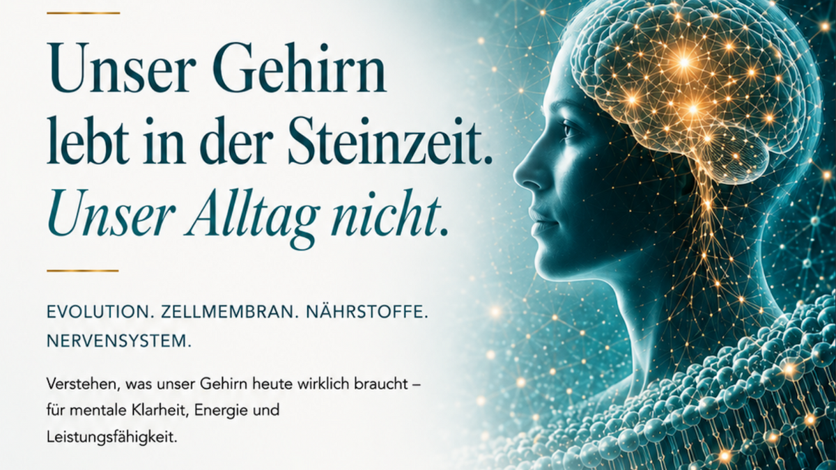 Unser Gehirn lebt in der Steinzeit. Unser Alltag nicht.
