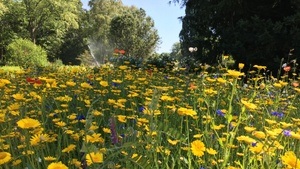 Führung: Sommerpracht – GartenPraxis im Westfalenpark