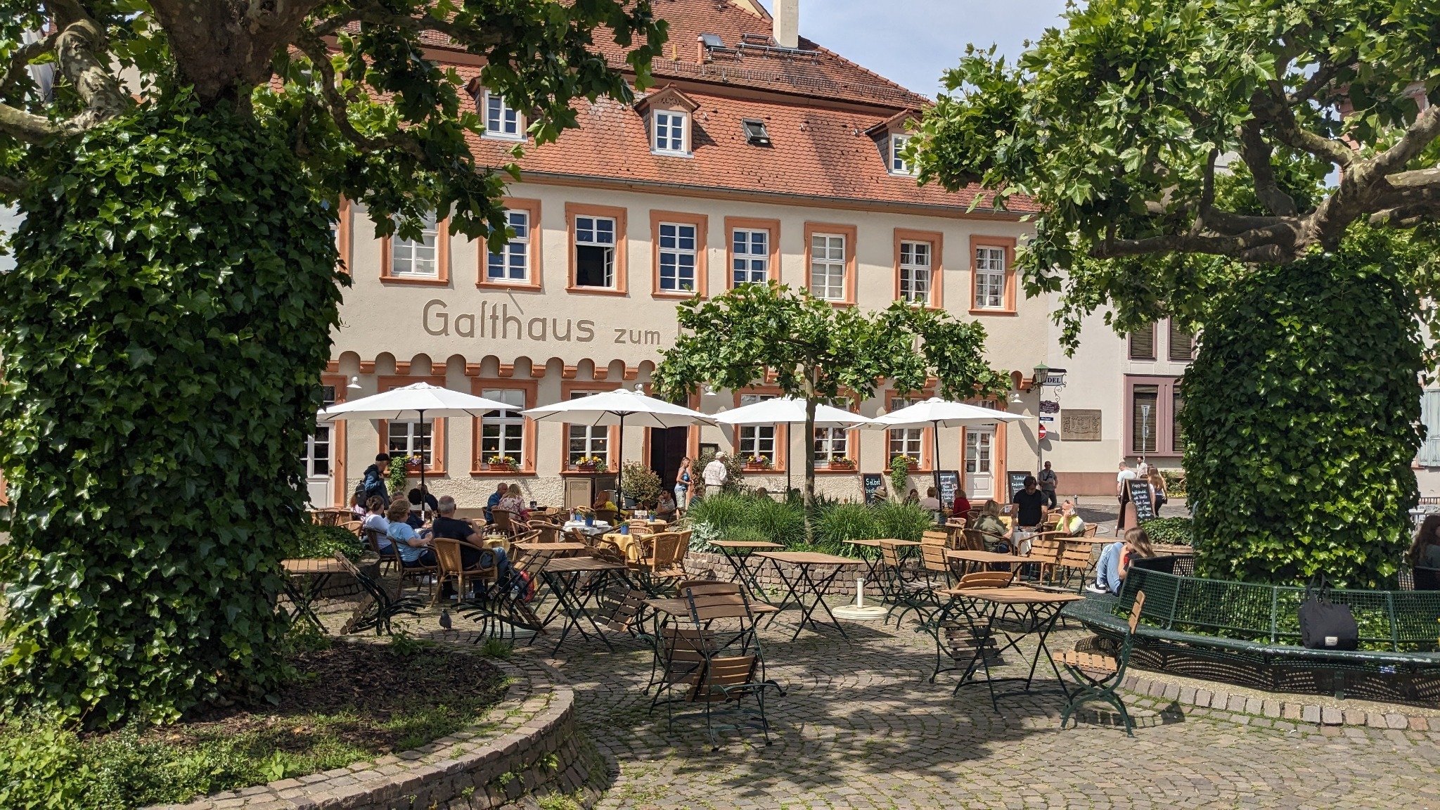 Stadtführung mal anders: Dein entspannter Walk durch Heidelberg
