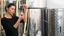 St. Ferment Kombucha