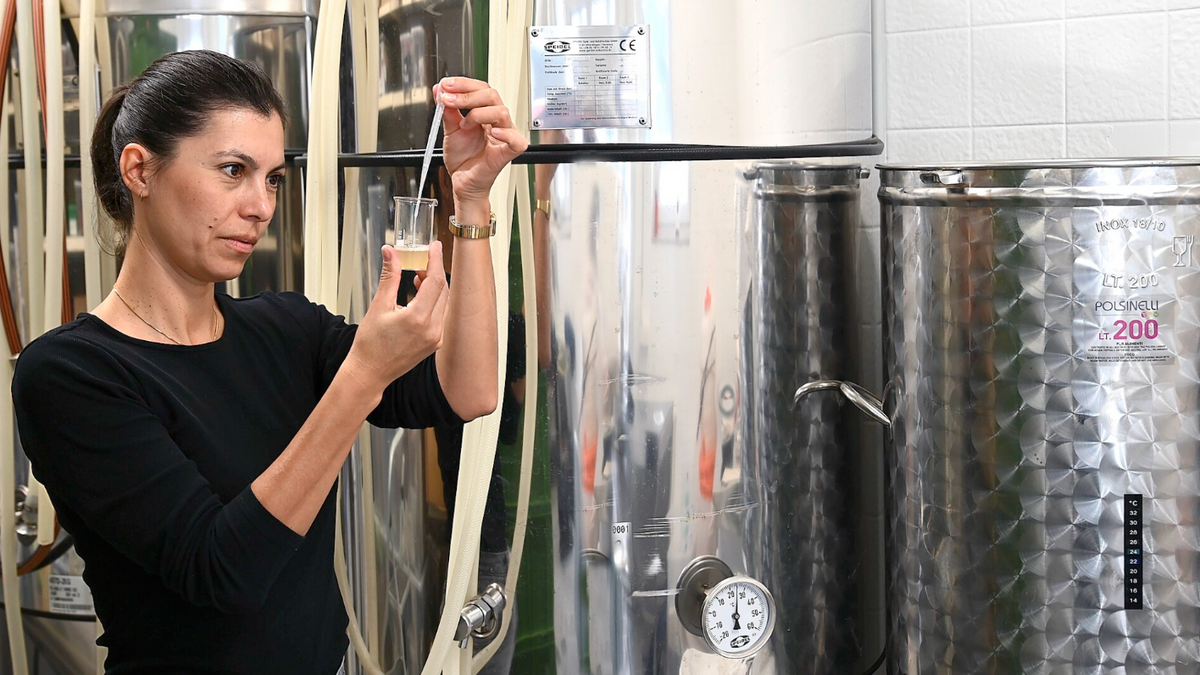 St. Ferment Kombucha